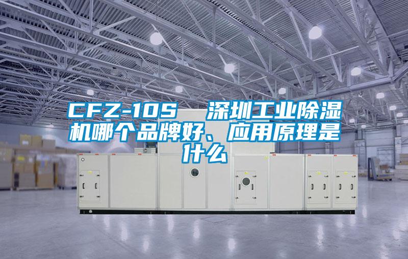 CFZ-10S  深圳工業除濕機哪個品牌好、應用原理是什么