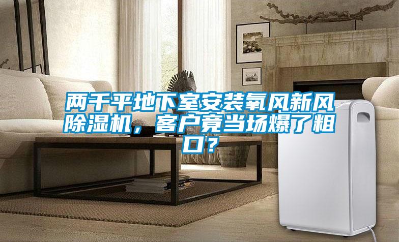 兩千平地下室安裝氧風新風除濕機，客戶竟當場爆了粗口？