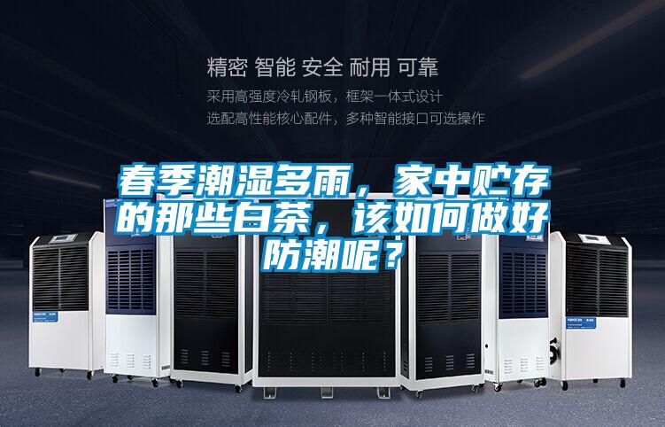 春季潮濕多雨，家中貯存的那些白茶，該如何做好防潮呢？