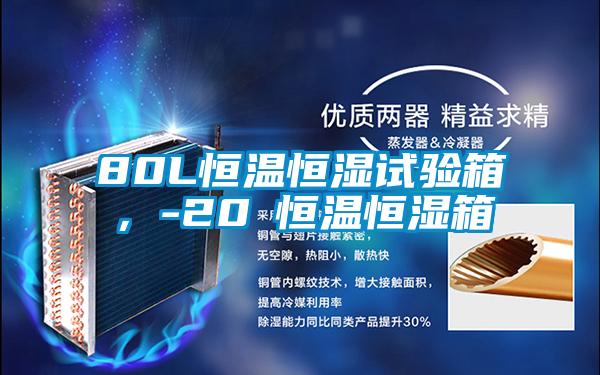 80L恒溫恒濕試驗箱，-20℃恒溫恒濕箱