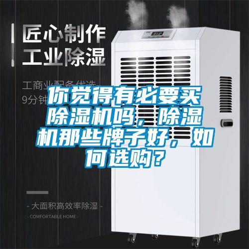 你覺得有必要買除濕機嗎，除濕機那些牌子好，如何選購？