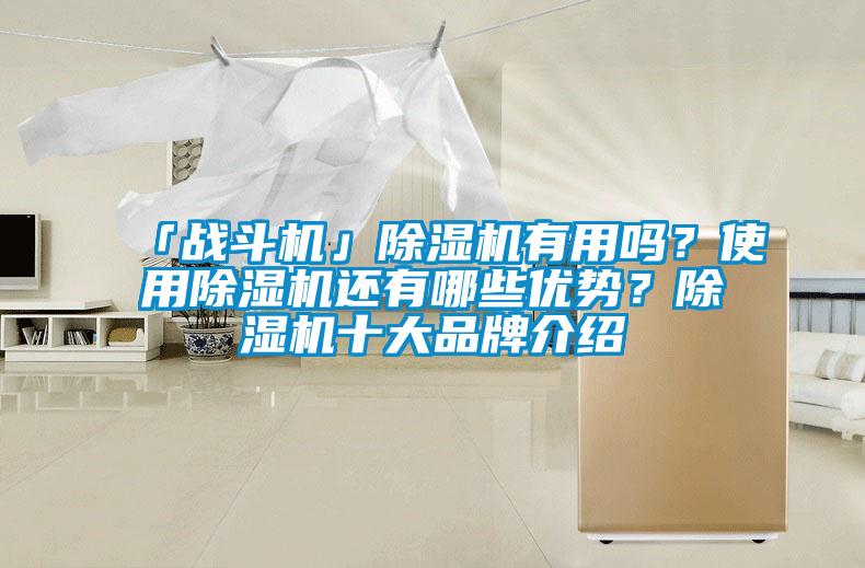 「戰斗機」除濕機有用嗎？使用除濕機還有哪些優勢？除濕機十大品牌介紹