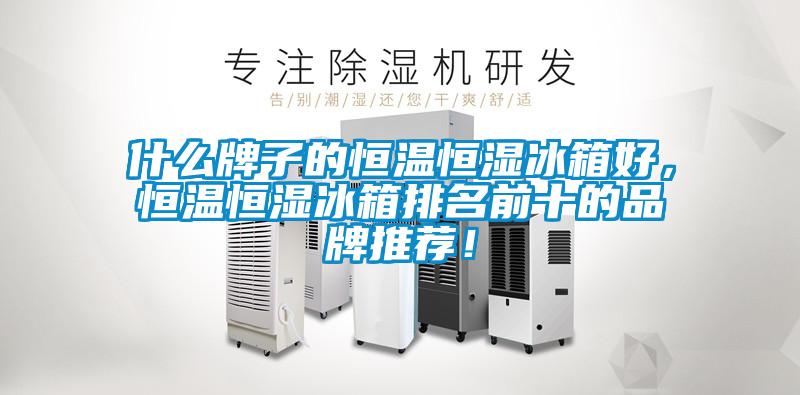 什么牌子的恒溫恒濕冰箱好，恒溫恒濕冰箱排名前十的品牌推薦！