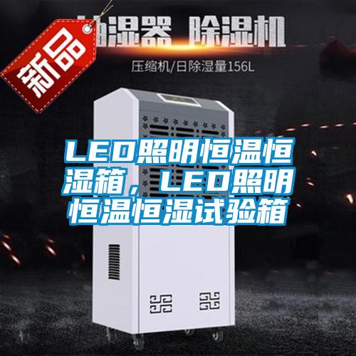 LED照明恒溫恒濕箱，LED照明恒溫恒濕試驗箱