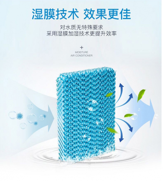 夏季如何驅除體內濕氣，了解一下