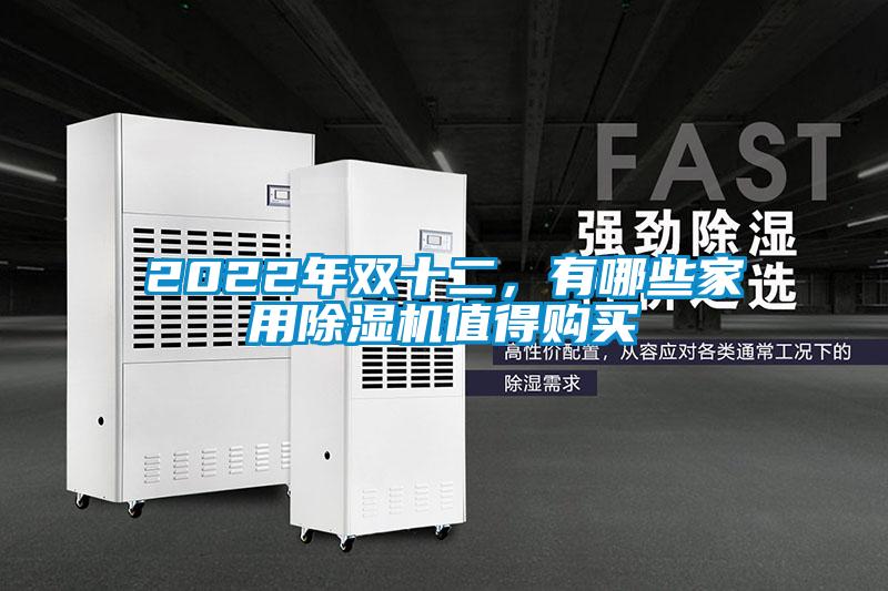 2022年雙十二，有哪些家用除濕機值得購買