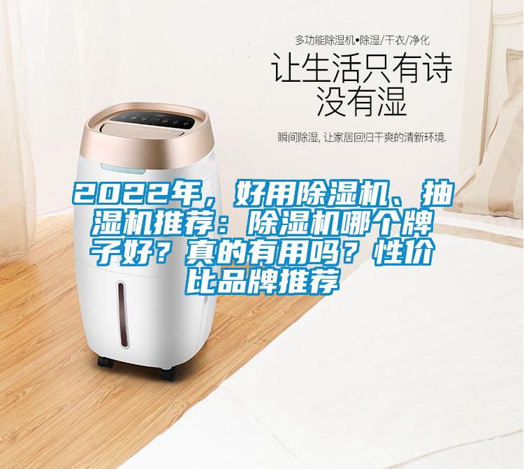 2022年，好用除濕機、抽濕機推薦：除濕機哪個牌子好？真的有用嗎？性價比品牌推薦