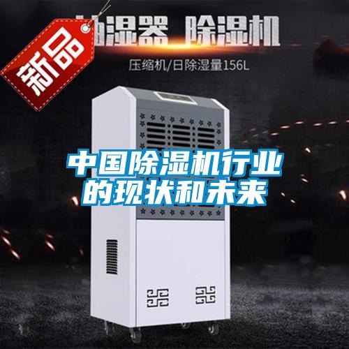 中國除濕機行業的現狀和未來