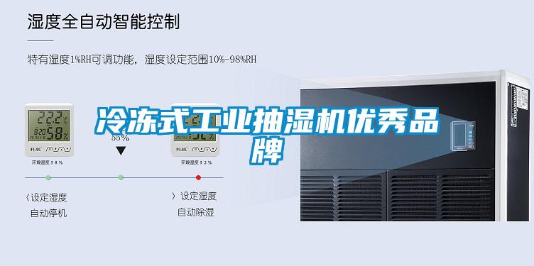 冷凍式工業抽濕機優秀品牌