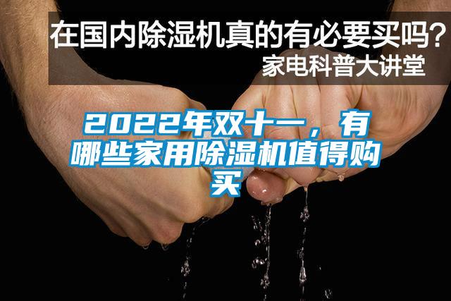 2022年雙十一，有哪些家用除濕機值得購買