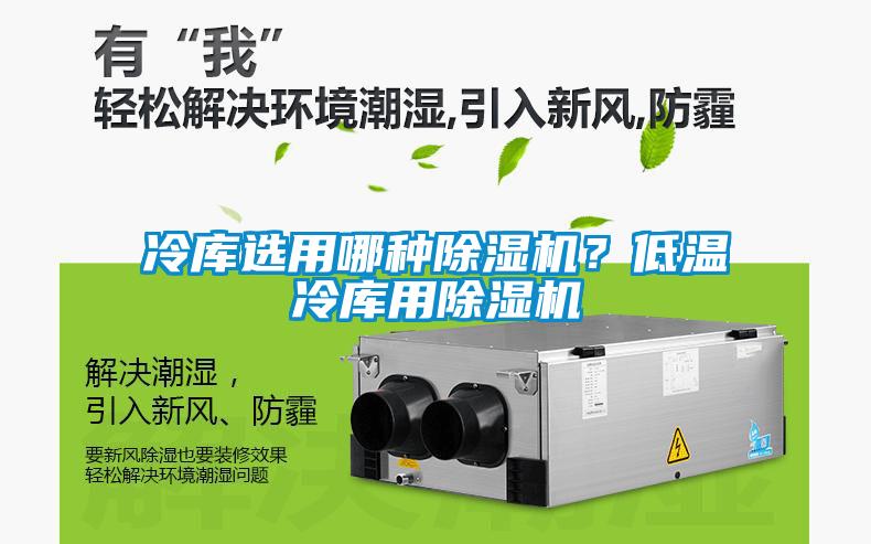 冷庫選用哪種除濕機？低溫冷庫用除濕機