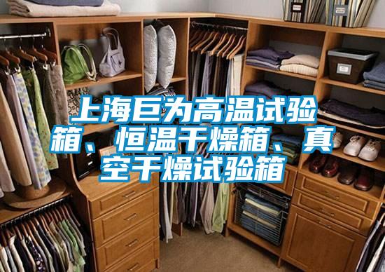 上海巨為高溫試驗箱、恒溫干燥箱、真空干燥試驗箱