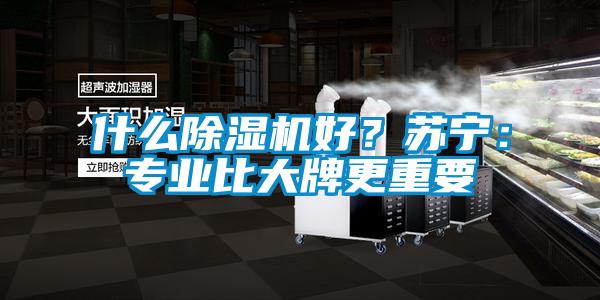 什么除濕機好？蘇寧：專業比大牌更重要