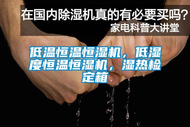低溫恒溫恒濕機，低濕度恒溫恒濕機，濕熱檢定箱