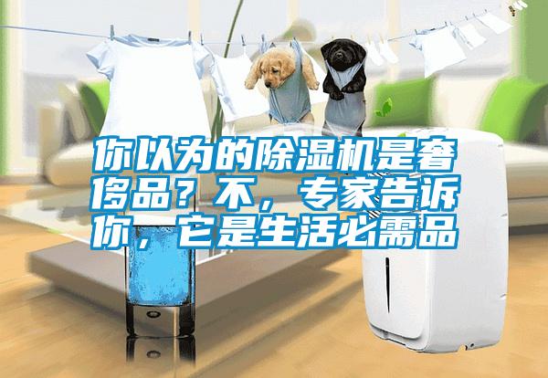 你以為的除濕機是奢侈品？不，專家告訴你，它是生活必需品