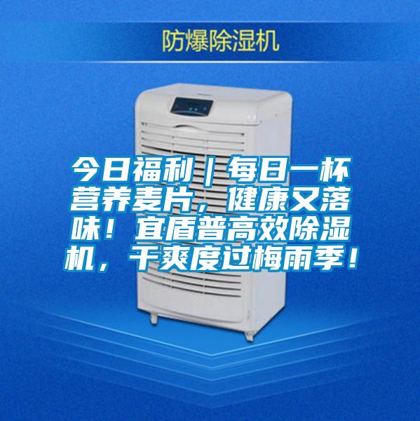 今日福利｜每日一杯營養麥片，健康又落味！宜盾普高效除濕機，干爽度過梅雨季！
