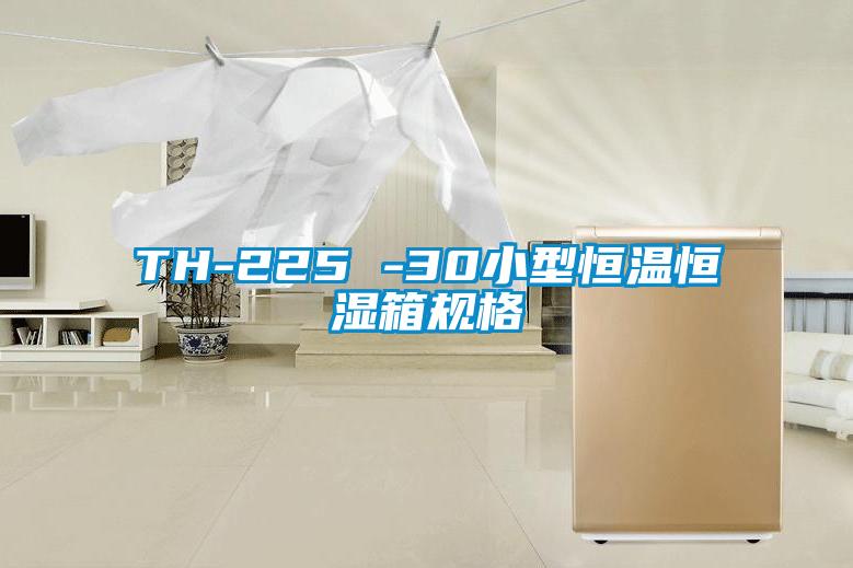 TH-225 -30小型恒溫恒濕箱規格