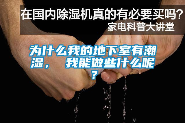 為什么我的地下室有潮濕， 我能做些什么呢？