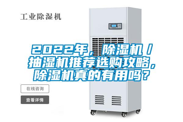 2022年，除濕機／抽濕機推薦選購攻略，除濕機真的有用嗎？