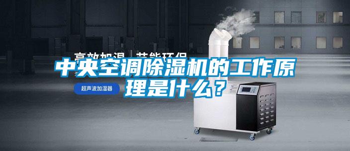 中央空調除濕機的工作原理是什么？