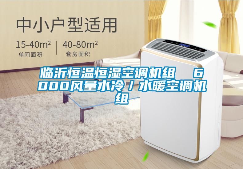 臨沂恒溫恒濕空調機組  6000風量水冷／水暖空調機組