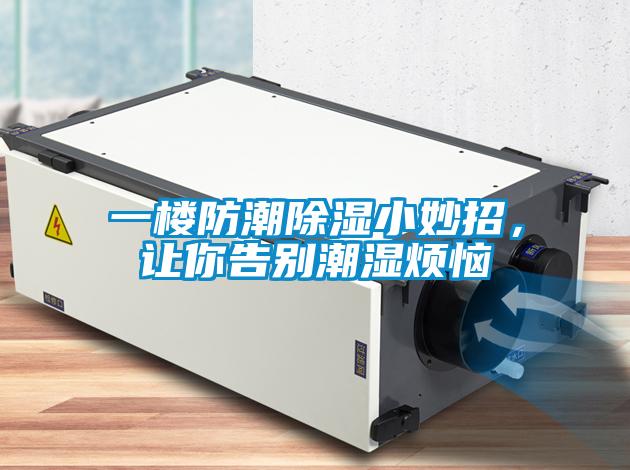 一樓防潮除濕小妙招，讓你告別潮濕煩惱
