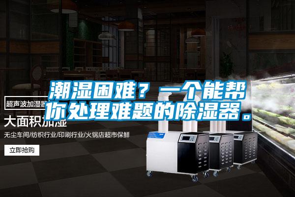 潮濕困難？一個能幫你處理難題的除濕器。