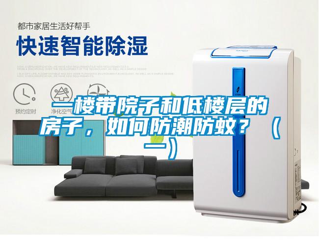 一樓帶院子和低樓層的房子，如何防潮防蚊？（一）