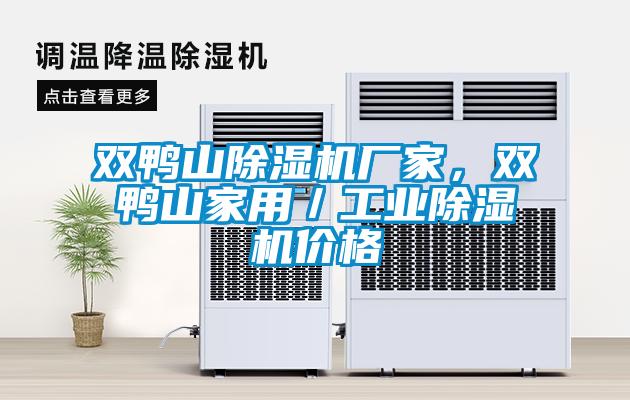 雙鴨山除濕機廠家，雙鴨山家用／工業除濕機價格