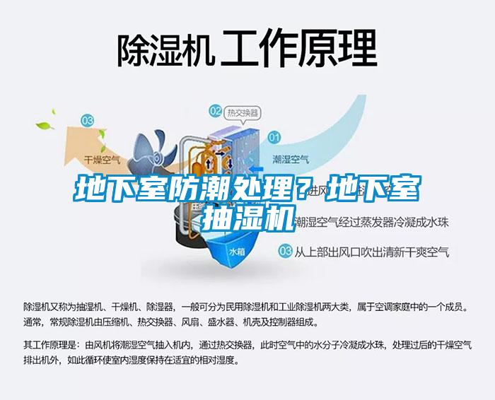 地下室防潮處理？地下室抽濕機
