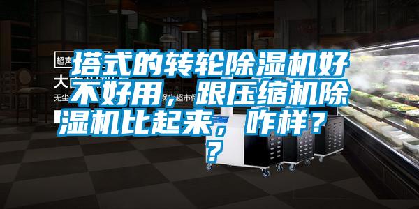 塔式的轉輪除濕機好不好用，跟壓縮機除濕機比起來，咋樣？ ？