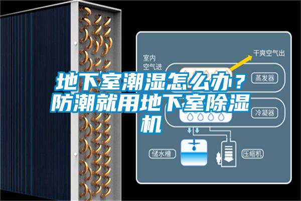 地下室潮濕怎么辦？防潮就用地下室除濕機