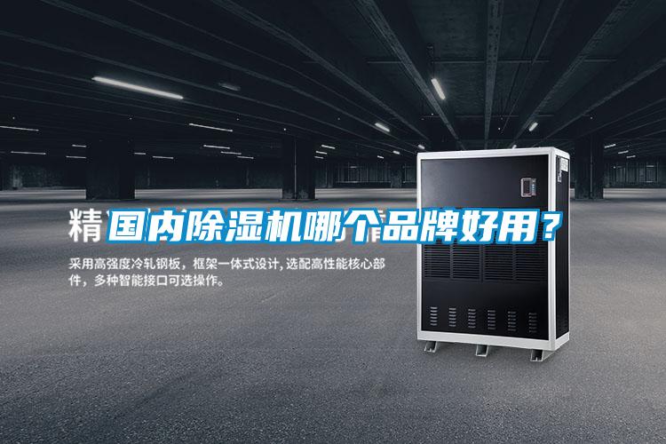 國內除濕機哪個品牌好用？