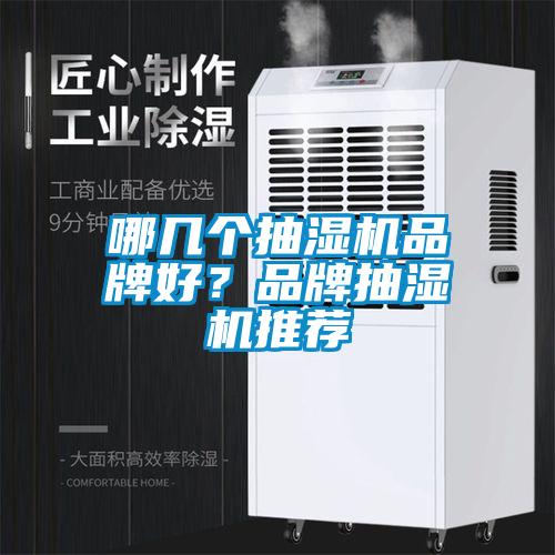 哪幾個抽濕機品牌好？品牌抽濕機推薦