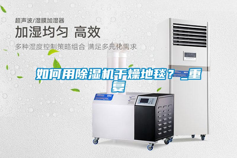 如何用除濕機干燥地毯？_重復