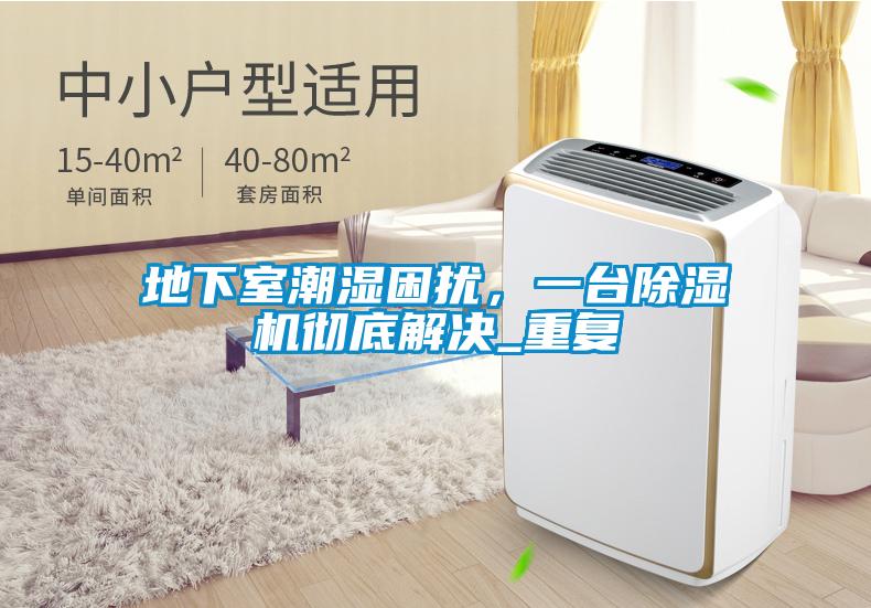 地下室潮濕困擾，一臺除濕機徹底解決_重復