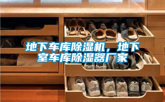 地下車庫除濕機，地下室車庫除濕器廠家