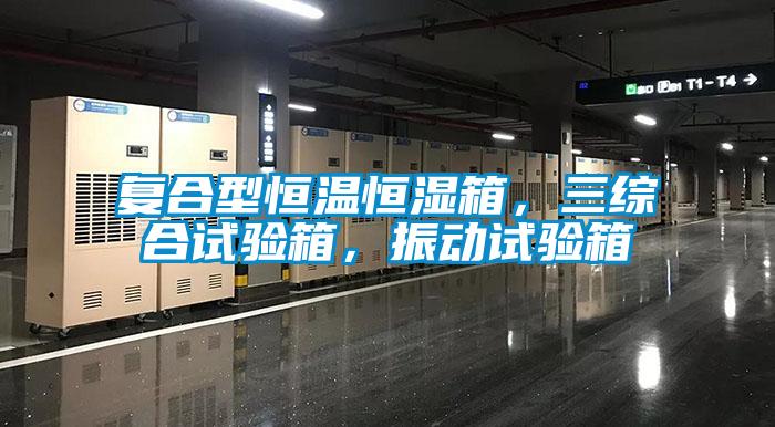 復合型恒溫恒濕箱，三綜合試驗箱，振動試驗箱