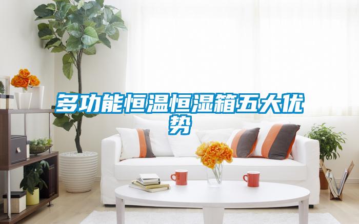 多功能恒溫恒濕箱五大優勢