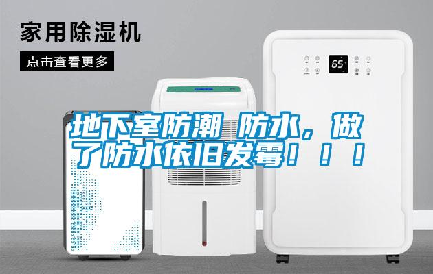 地下室防潮≠防水，做了防水依舊發霉?。?！
