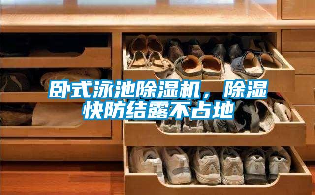 臥式泳池除濕機，除濕快防結露不占地