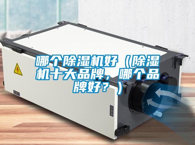 哪個除濕機好（除濕機十大品牌，哪個品牌好？）