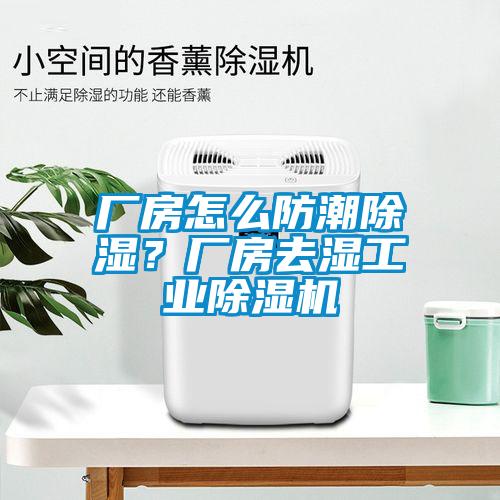 廠房怎么防潮除濕？廠房去濕工業除濕機