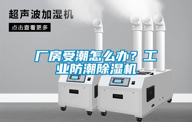 廠房受潮怎么辦？工業防潮除濕機