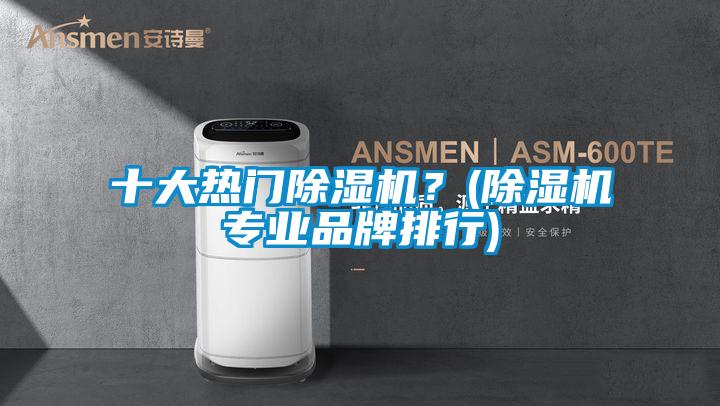 十大熱門除濕機？(除濕機專業品牌排行)