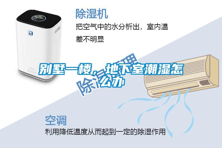 別墅一樓，地下室潮濕怎么辦