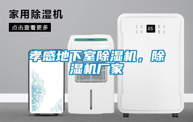 孝感地下室除濕機，除濕機廠家