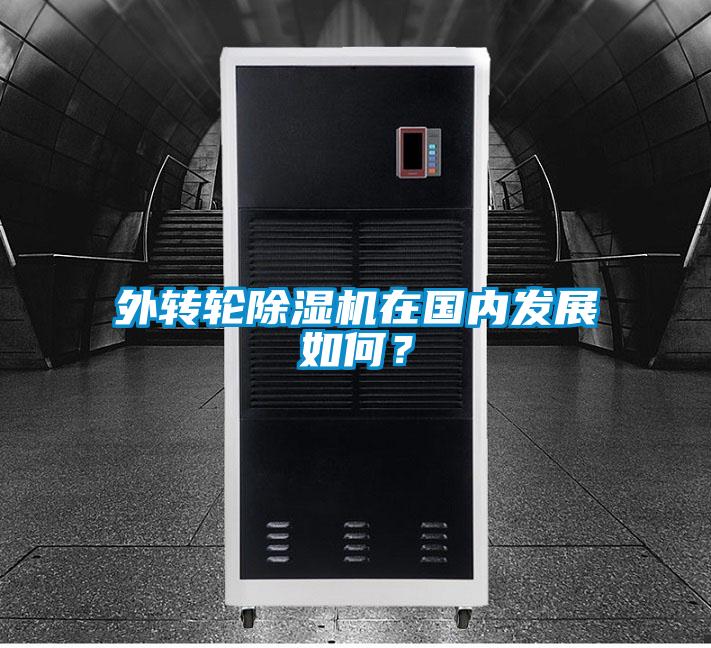 外轉輪除濕機在國內發展如何？