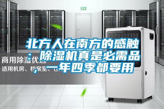 北方人在南方的感觸：除濕機真是必需品，一年四季都要用