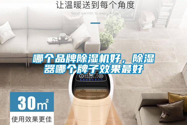 哪個品牌除濕機好，除濕器哪個牌子效果最好